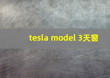 tesla model 3天窗